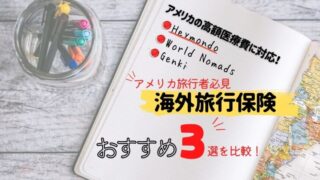 海外旅行保険のおすすめは？アメリカ旅行に最適＆安い保険はどれ？